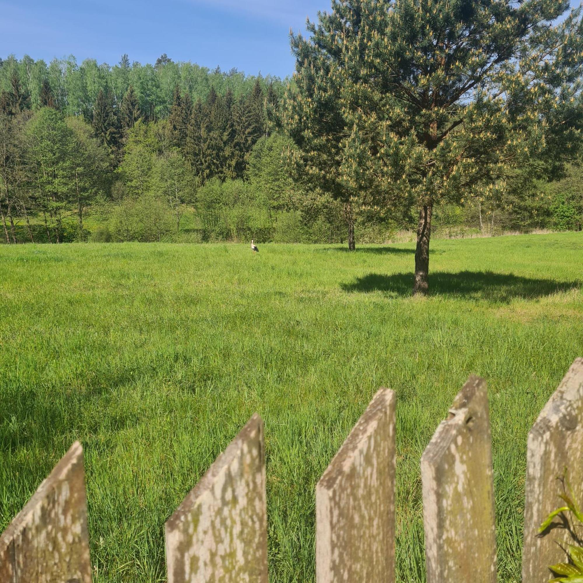 Dom Na Szlaku Mazury Vila Borowe Exterior foto